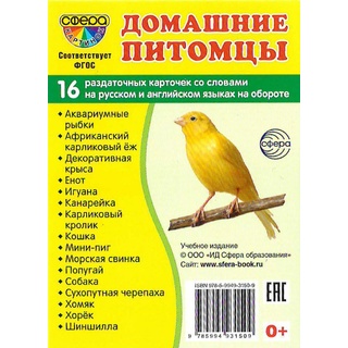 Раздаточные карточки СУПЕР Домашние питомцы (16 шт.)