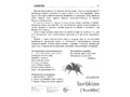 Демонстрационные картинки СУПЕР. Насекомые (16 шт.) в папке