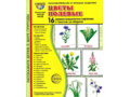 Демонстрационные картинки СУПЕР. Цветы полевые (16 шт.) в папке