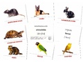 Раздаточные карточки СУПЕР Домашние питомцы (16 шт.)