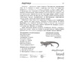 Демонстрационные картинки СУПЕР. Дикие животные 2 (16 шт.) в папке
