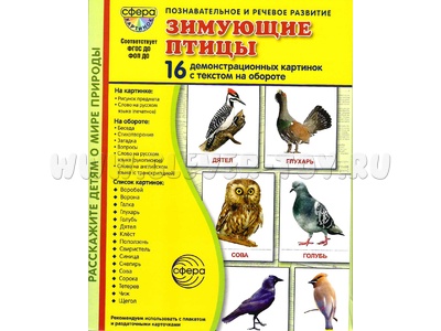Демонстрационные картинки СУПЕР. Зимующие птицы (16 шт.) НОВЫЕ